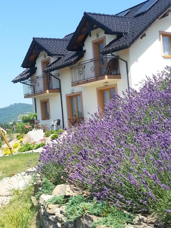 Domki Pod Magura Bystra (Zywiec) Exterior foto